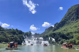 越南高平省板约瀑布长。图自越通社