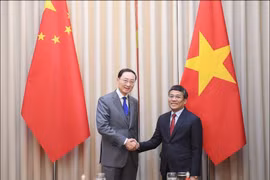 越南外交部常务副部长阮明宇与中国外交部副部长孙卫东。图自越通社
