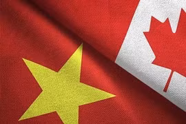 防务合作继续是越南与加拿大关系中的亮点。图自越通社