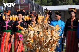 莱州省贡族同胞独具特色的玉米节。图自越南之声