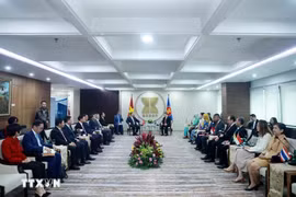 苏林总书记与东盟秘书长和东盟常驻代表委员会（CPR）代表会谈。图自越通社