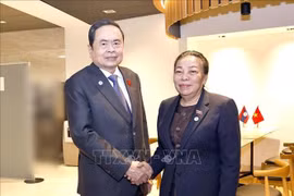 越南国会主席陈青敏会见老挝国会副主席顺通·赛雅佳。图自越通社