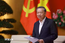 苏林总书记。图自越通社