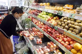 附图 图自越通社