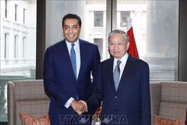 苏林总书记与渣打银行英国首席执行官赛夫·马利克。图自越通社