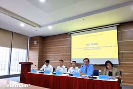 越南外交部国际组织司副司长阮武明发表讲话。图自vietnam+