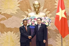 越南国会主席陈青敏会见老挝国会副主席苏温·伦奔米。图自越通社