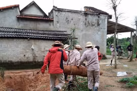 越南与美国合作开展战后遗留爆炸物清理项目。图自越通社