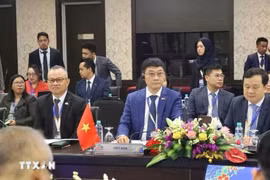 越南国会副主席武红青出席东盟议会联盟- 东盟领导人会晤筹备会议。图自越通社