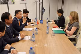越南政府副总理黎成龙会见国际移民组织（IOM）总干事艾米·波普。图自越通社
