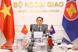 越南外交部长黎怀忠出席会议。图自越通社