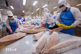 2025年8月，越南全国水产品出口额达11.2亿美元，增长13.8%。图自越通社