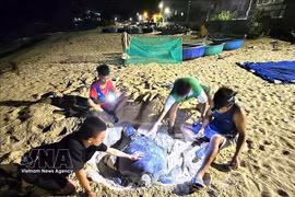 守住海洋生态资本，保障可持续生计