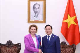 越南政府副总理陈红河在政府驻地会见了欧洲投资银行副行长尼古拉·比尔。图自越通社