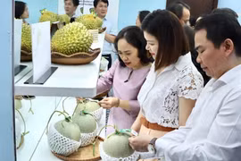 展览上展出的所有水果产品都带有二维码，用于追溯产地。图自越通社
