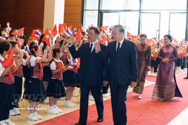 越共中央总书记、国家主席苏林主持仪式，欢迎泰国国王与王后访越