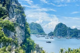广宁省下龙湾美景。图自越通社