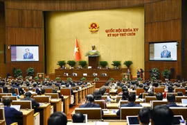 全体会议场景。图自越通社