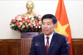 越共中央委员、外交部常务副书记、副部长阮孟强。图自越通社