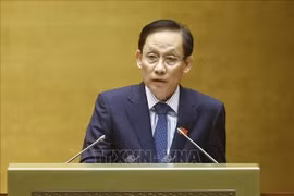 越南外交部长黎怀忠发言。图自越通社