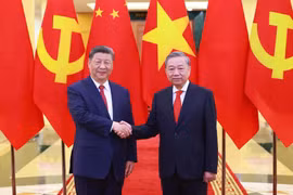 越共中央总书记苏林与中共中央总书记、国家主席习近平。图自越通社