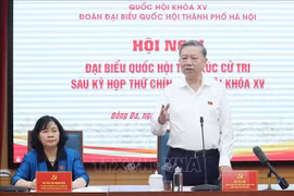 苏林总书记发言。图自越通社
