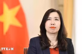 越南外交部副部长黎氏秋姮。图自越通社