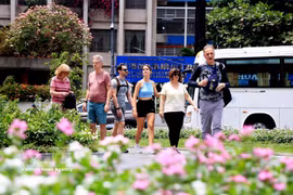 国际游客参观胡志明市。图自越通社