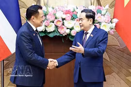 越南国会主席陈青敏与泰国总理阿努廷·参威拉军。图自越通社