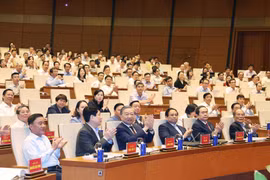 越共十三届十一中全会决议会议开幕。图自越通社