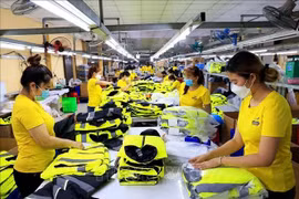 越南鞋类产品和服装出口瞄准目标市场。图自越通社