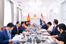 第二次越荷外交部副部长级政治磋商现场。图自外交部