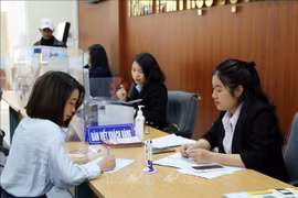 广平省政务服务掌办指数排名第一。图自越通社