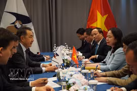 国家副主席武氏映春在比什凯克展开系列双边会晤活动