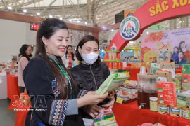 谅山省展位。图自越通社