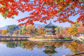 韩国红叶季之美。图自越南人民报