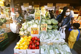 日本一超市。图自越通社