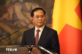 越南政府副总理裴青山发言。图自越通社