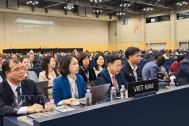越南外交部副部长吴黎文出席第48届联合国教科文组织世界遗产委员会会议。图自越通社