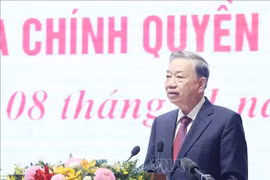 苏林总书记在会议上发表讲话。图自越通社