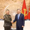 越共中央总书记、国家主席苏林与柬埔寨副首相兼国防大臣迪西哈。图自越通社