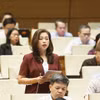 高平省国会代表段氏黎安发表讲话。图自越通社