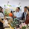 代表们参观展区。图自越通社