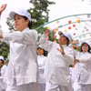 首都河内老年人太极拳集体展演活动。图自越通社