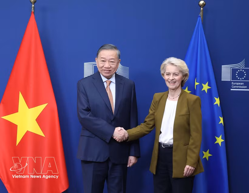 苏林总书记、国家主席会见欧盟委员会主席冯德莱恩 图自越通社