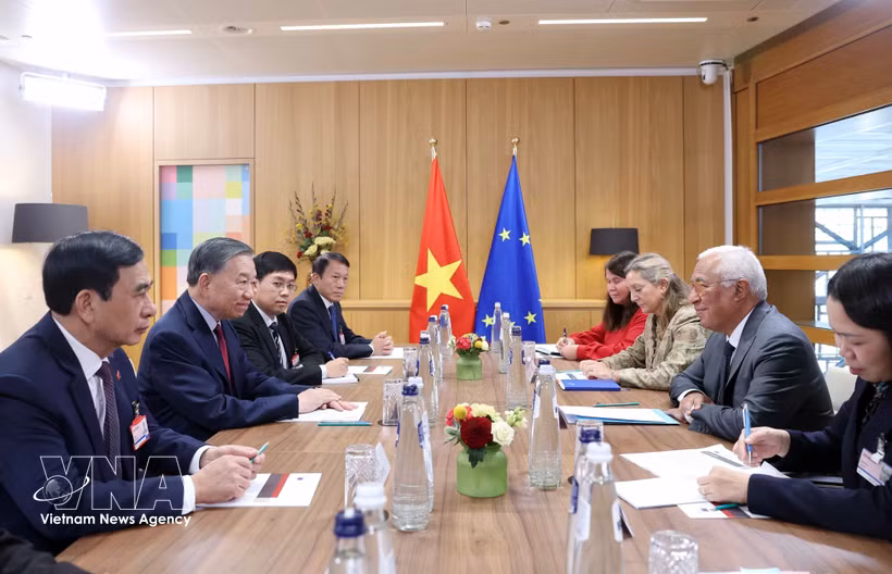 越共中央总书记、国家主席苏林与欧洲理事会主席科斯塔举行会谈 图自越通社