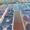 越南清洁水产股份公司的超高密度养虾养殖区。图：越通社