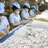 越南松下生活解决方案有限公司位于平阳省新渊市越南—新加坡工业园区（VSIP）的工厂内，家用电器生产场景。（图：越通社）