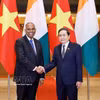 国会主席陈青敏与科特迪瓦国民议会议长帕特里克·阿奇合影。图自越通社