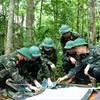 第337经济国防团烈士遗骸搜寻队工作人员在广治省向立乡Cựp Cuôi村Cây Lỗi溪山一带搜寻、归集烈士遗骸。图：越通社发